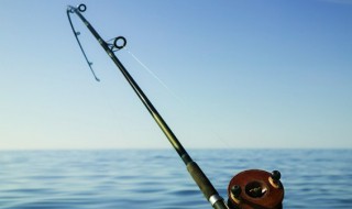 鱼漂用什么材质的最好 什么材质的浮漂最好