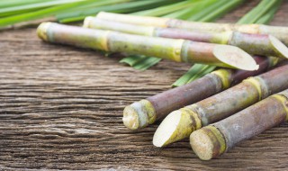 怎么保存甘蔗不坏 如何保存甘蔗不坏