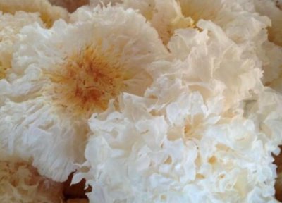 挑选什么样的银耳质量最好出胶多 银耳哪里产的最好