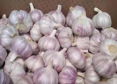 大蒜代表什么寓意吉祥 送蒜头代表的特别含义和象征