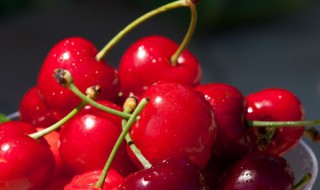 山东春节摆什么水果 山东春节最有范的水果