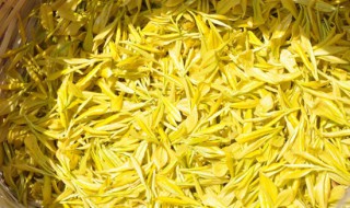 黄金芽茶叶是什么山产地方 黄金芽茶叶简单介绍