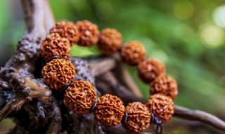 如何辨别手串的好坏 怎样辨别手串的好坏呢