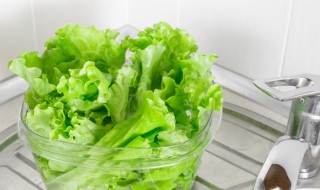 羽衣甘蓝是生菜吗 羽衣甘和生菜有什么区别