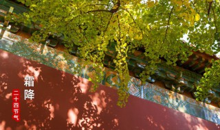 有关霜降的由来 霜降是怎么来的