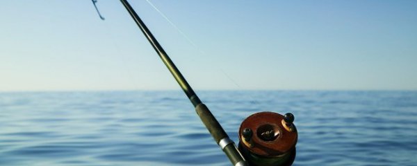 新手钓鱼怎样判断线路好坏