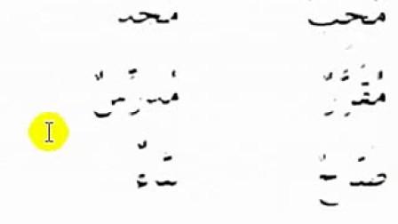 最好学的语言都有什么