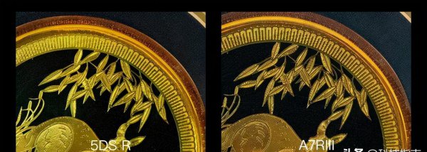 微单和单反拍出来差距在哪