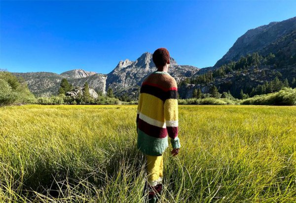 微单和单反拍出来差距在哪