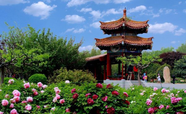 郑州好玩的地方排行榜前十名