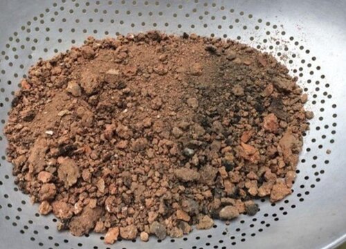 盆栽君子兰用什么土最好