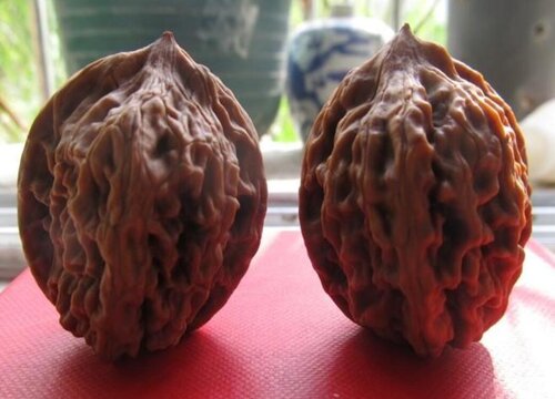 文玩核桃哪个品种好