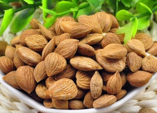 巴坦木和杏仁一样吗