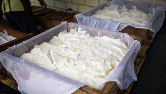 一斤黄豆能做几斤豆腐