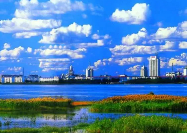 大庆特产美食有什么