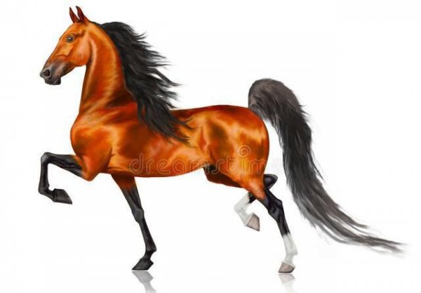 十二生肖中谁最霸气气场最强