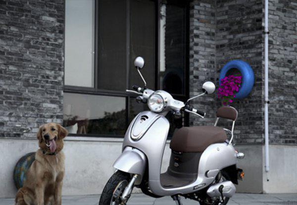 电动车被大雨淋了一晚注意事项