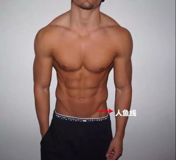 人鱼线指的是哪里图解