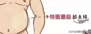 人鱼线指的是哪里图解