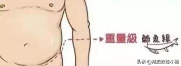 人鱼线指的是哪里图解