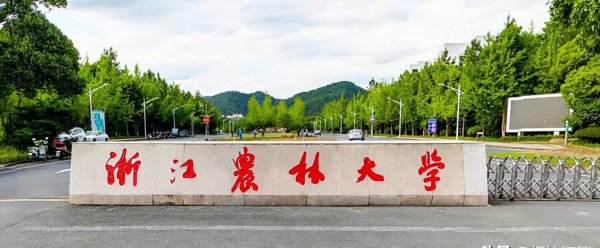 浙江省15所重点大学排名