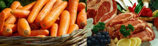 什么食物有助于长个子