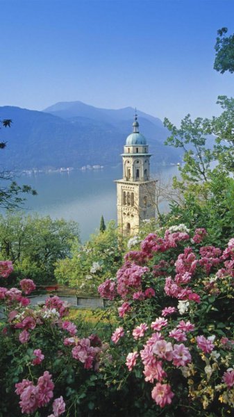 暨南大学在哪个城市