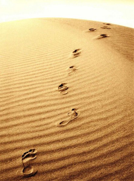 人生观包括哪三个方面