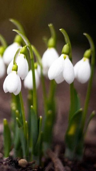 人生观包括哪三个方面