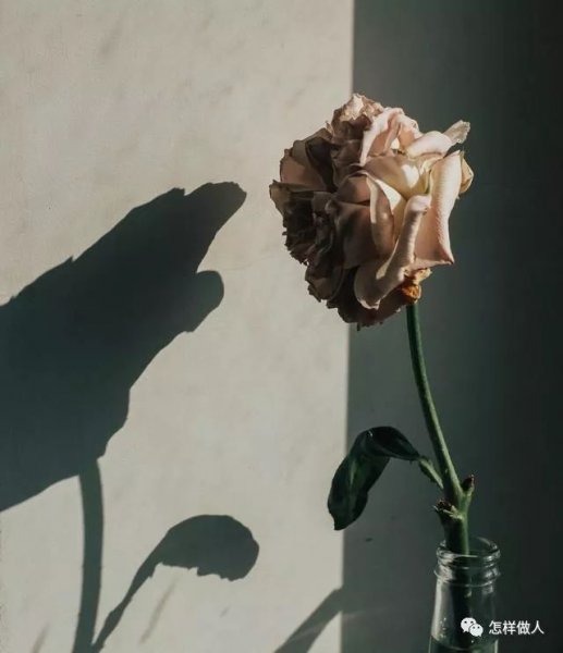 女生发嗯该怎么回复她