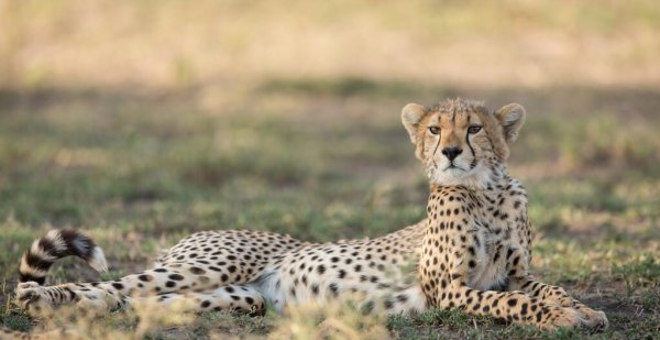 合肥周边一日游景点推荐