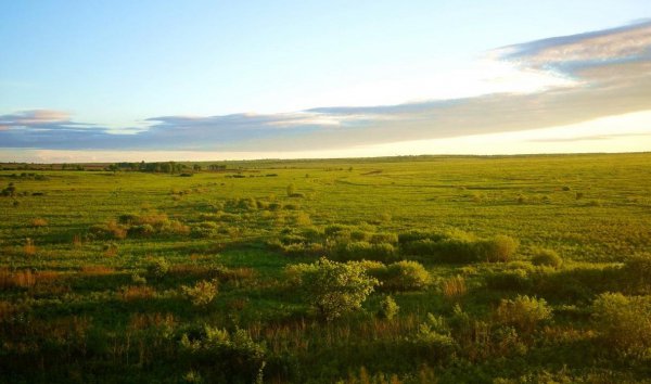 世界最大盆地在哪里的地方