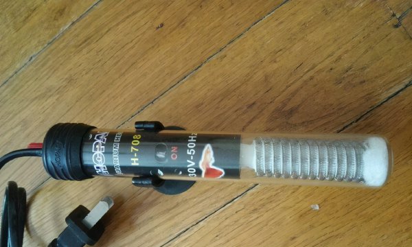 乌龟为什么不吃东西