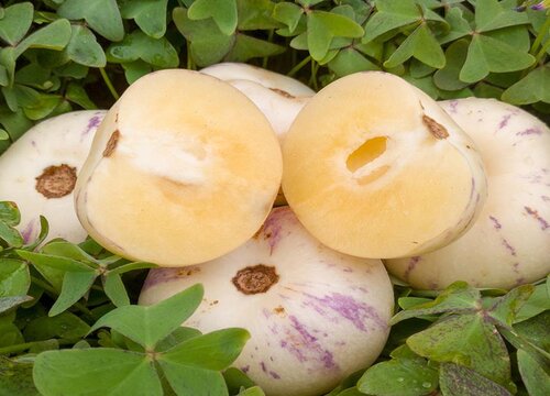 人参果怎么削皮比较快