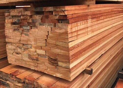 桉木是什么木材种类