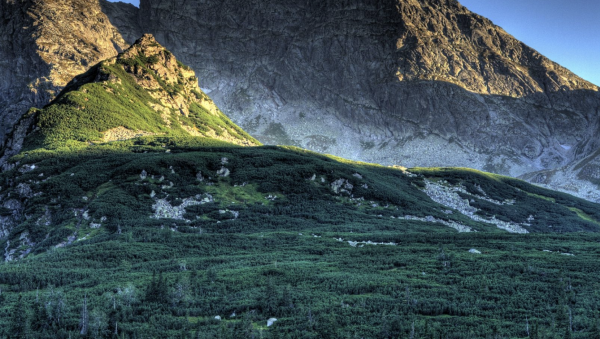 大格局能扛事的女人是什么样的