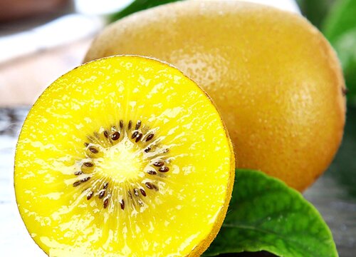 奇异果和猕猴桃的区别图片