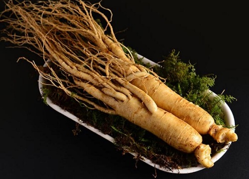 人参的储存方法有哪些