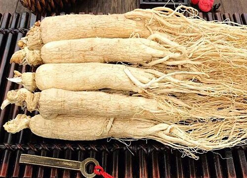 人参的储存方法有哪些