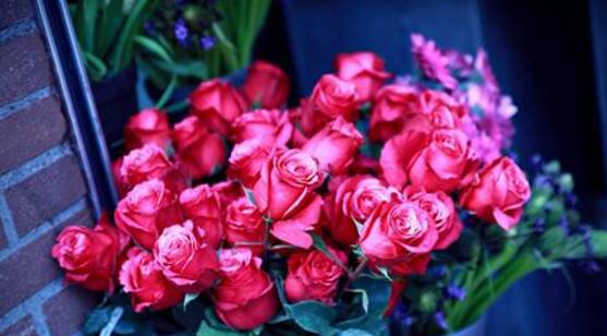 家里为什么不能养玫瑰花