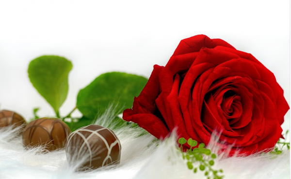 异地恋520送什么礼物给女朋友好