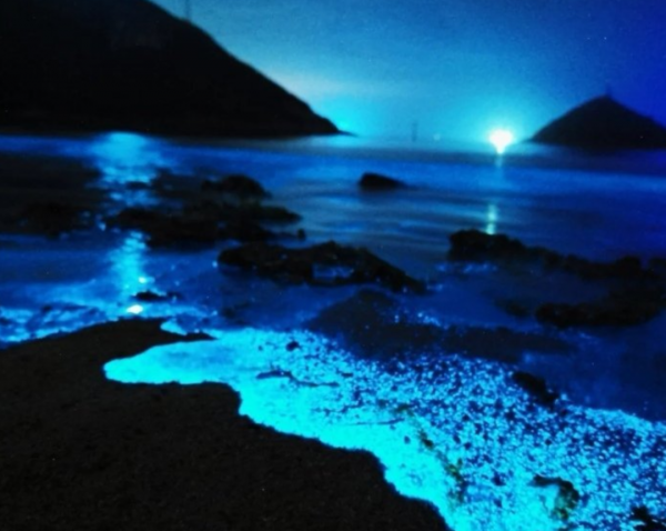 荧光海是怎么形成的地理原因