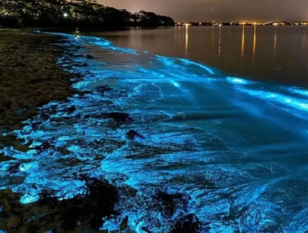 荧光海是怎么形成的地理原因