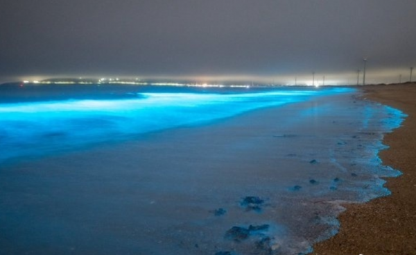 荧光海是怎么形成的地理原因