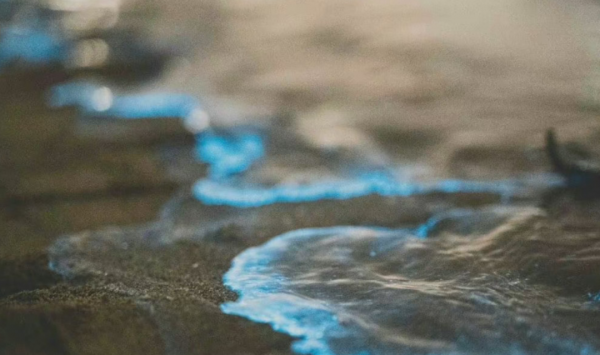 荧光海是怎么形成的地理原因