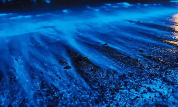 荧光海是怎么形成的地理原因