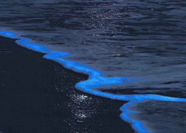 荧光海是怎么形成的地理原因