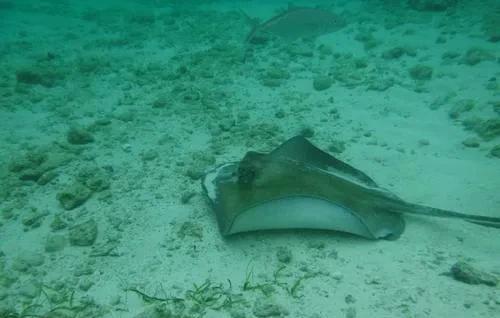 开曼群岛是哪个国家的属地