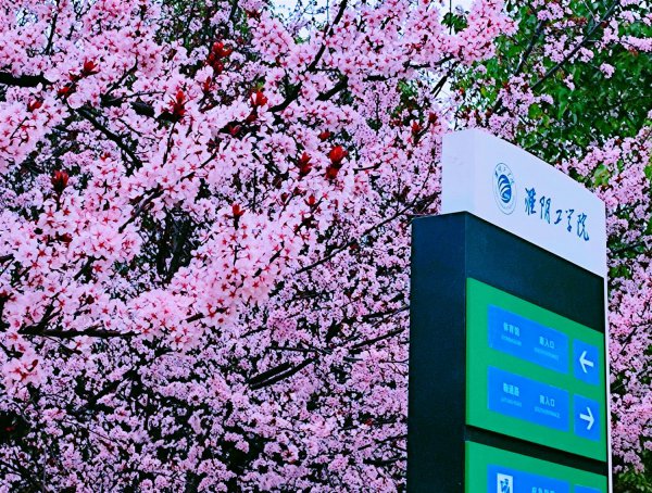 淮安在哪个省哪个城市