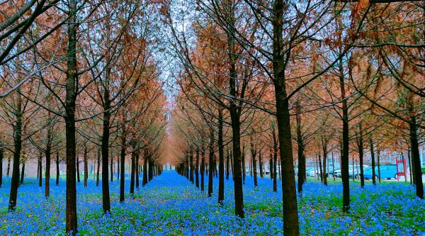 淮安在哪个省哪个城市